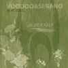 Voodoo & Serano featuring Zoe C. - Vulnerable